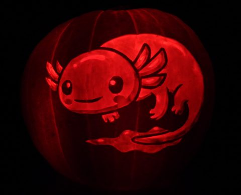 Axolotl pumpkin carving