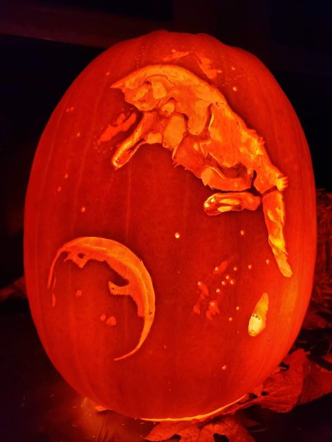 Cat in Space pumpkin carving