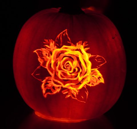 Fiery Rose pumpkin carving