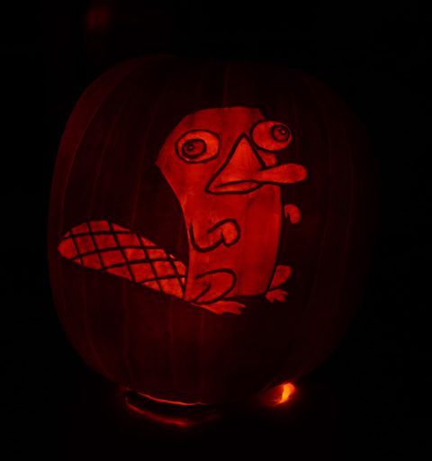 Perry the Platypus pumpkin carving